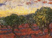 Vincent Van Gogh Olive Grove China oil painting reproduction